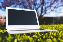 kaboompics.com_White laptop on a green leaves